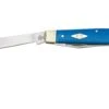 Case Mini Trapper 10207 Blue G10, Navaja