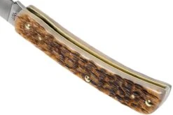 Case Sod Buster Jr Amber Jigged Bone, 245 6137 SS Navaja -Cuchillos Tienda de ventas CE245 05 case ce245 05