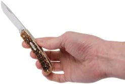 Case Sod Buster Jr Amber Jigged Bone, 245 6137 SS Navaja -Cuchillos Tienda de ventas CE245 09 case ce245 09