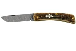 Case Sod Buser Jr 77461 Damascus Vintage Bone, Navaja