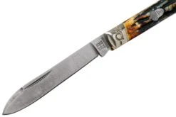 Rough Ryder Doctors Knife Cinnamon Stag RR2158 Damascus Navaja Slipjoint -Cuchillos Tienda de ventas RY2158 03 rough ryder